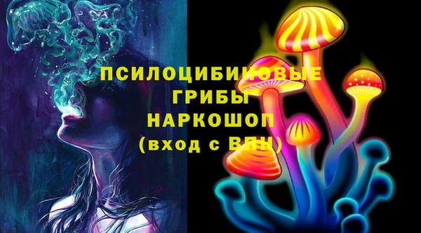 стаф Алексин